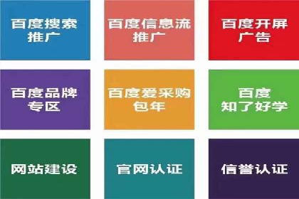 某电商平台的SEM运营实战与效果分析